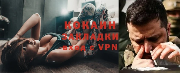 дмт Алексин